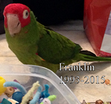 *Franklin 1994-2015
