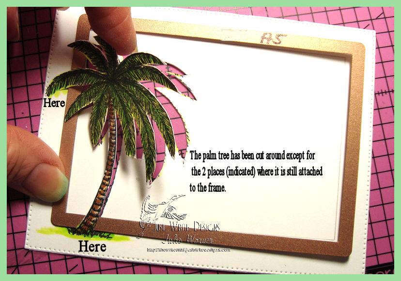 Alhoha Surfboards palm tree cut 06966